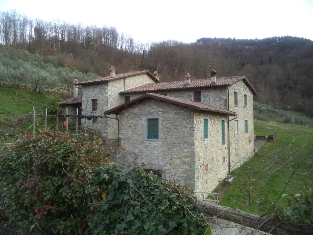 Le Chianine Dei Tognoli Hotel Gragnola ภายนอก รูปภาพ